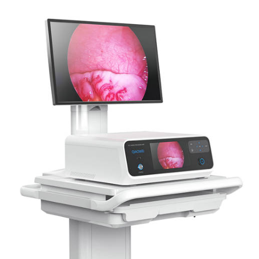 醫療內窺鏡手板模型